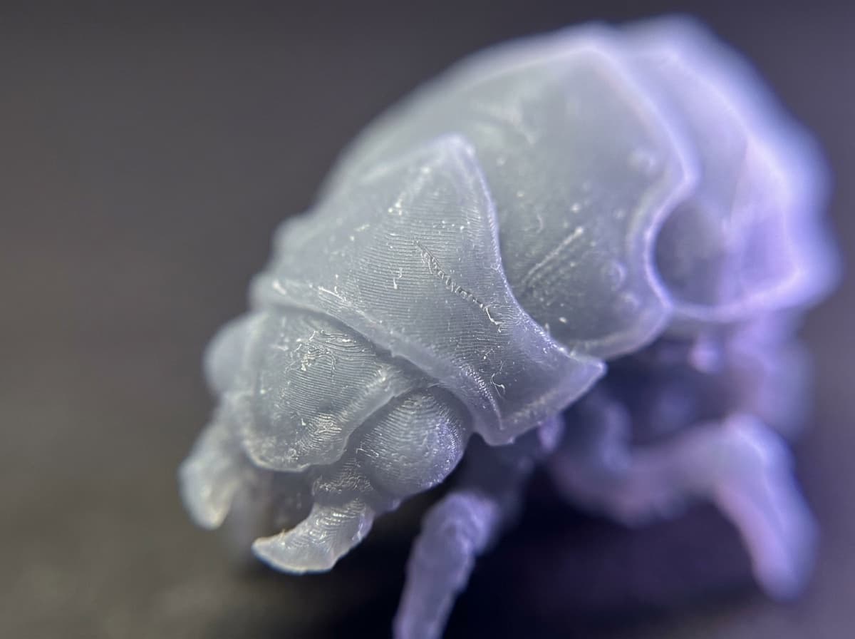 Macro d'une sculpture imprimée en résine grise, les détails de surface sont extrêmement fins.